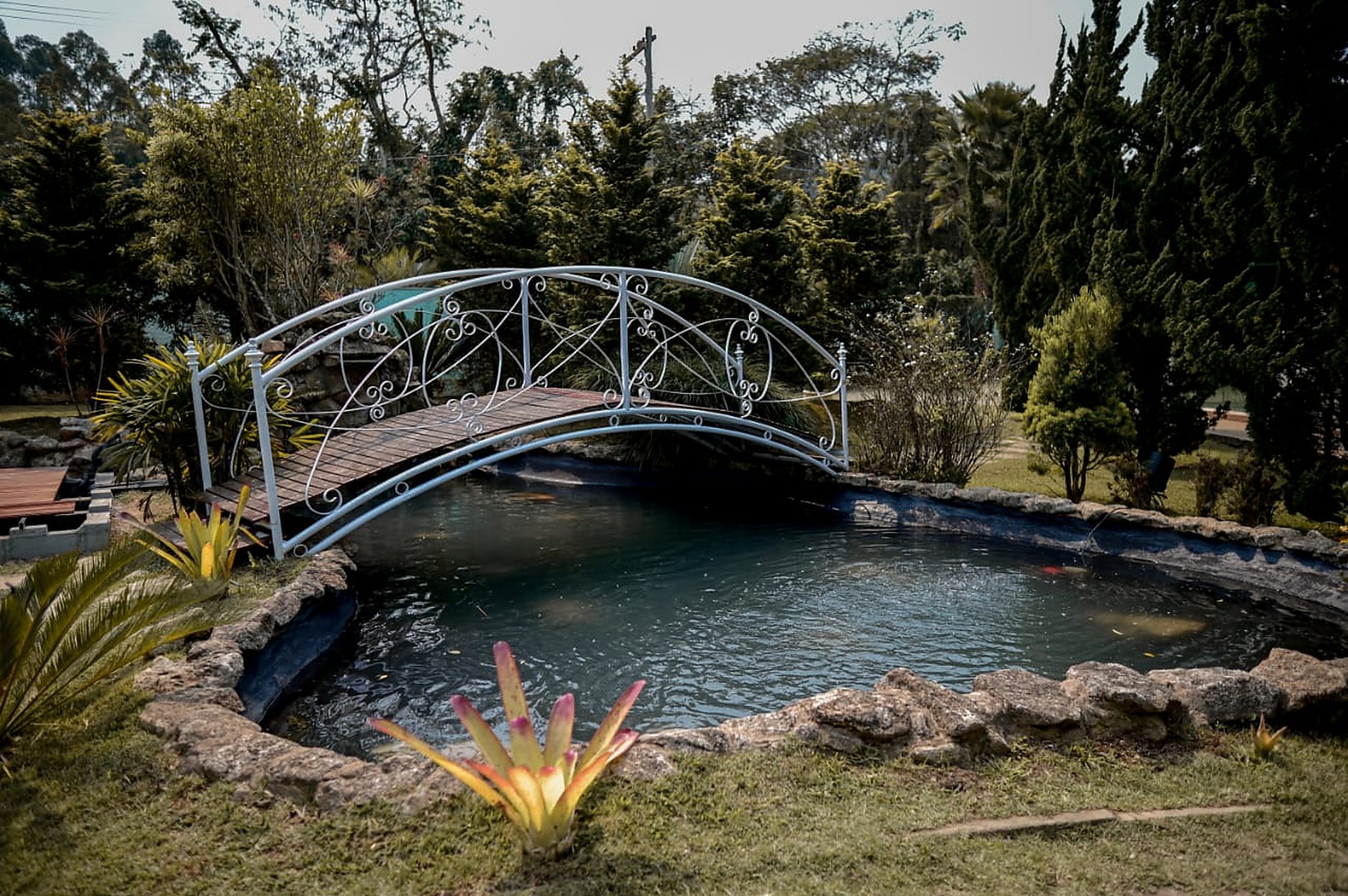 Lago com ponte no jardim
